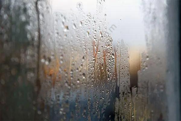 梅雨？霉雨？何不霉？