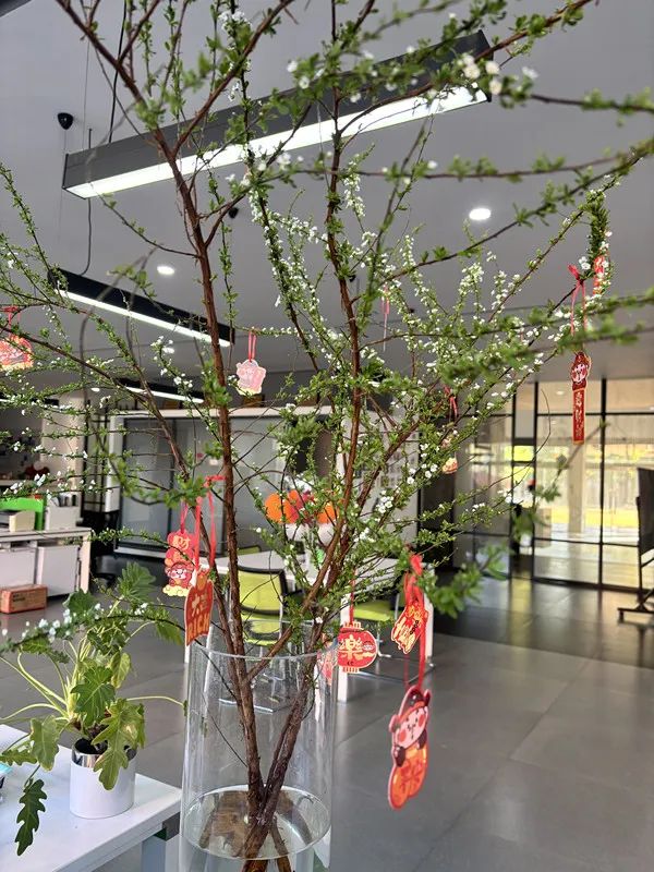 威士德2024年終總結